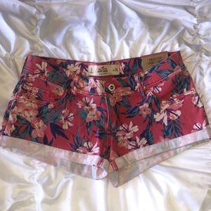 NEW Hollister Shorts